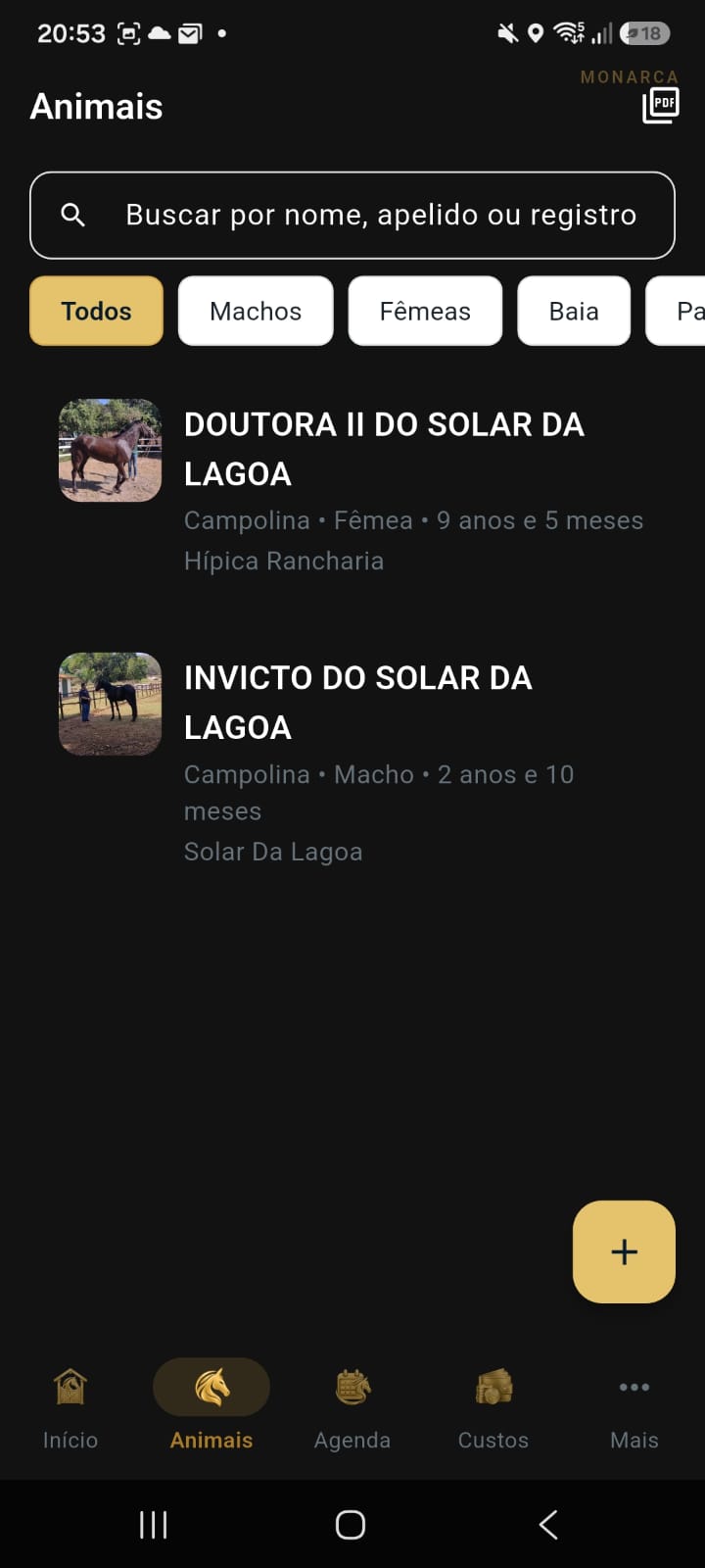Lista de animais cadastrados